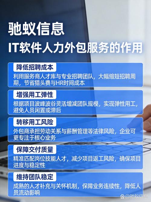 it軟件人力外包服務(wù)的作用:
